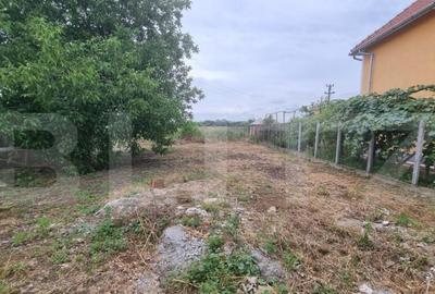 Casa de vanzaare, 80 mp, zona Bercu nou - 13