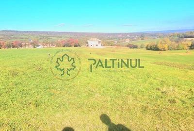 Teren in Rasinari, Sibiu 3010 mp cu priveliste superba - 9