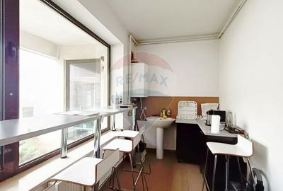 Vanzare Spatiu Comercial / Birou, Str. Popa Tatu -Cismigiu, Investitie - 11