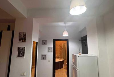 Apartament cu 2 camere decomandat în Roșu - 3