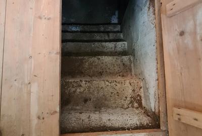 Casa individuala/sat Dobreni comuna Varasti - 15