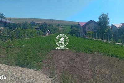 Spațiu comercial, în Bogonos - 6