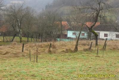 Teren de 1924 mp, în Moneasa - 1