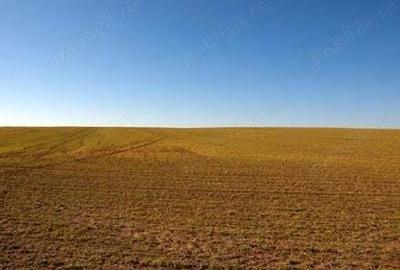 Teren agicol Buzau 127 ha comasare 60% Teren agicol Buzau 127 ha comasare 60% - 2