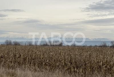 Teren pretabil investitie 3611 mp de vanzare in Cristian judetul Sibiu - 2