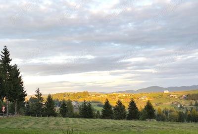 Cabana din barne de lemn, Apuseni, Marisel Cluj - 6