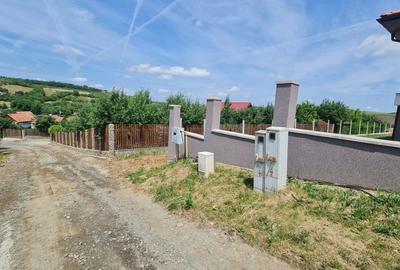 Teren Intravilan 1846 mp Casa | Duplex - 9