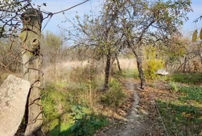 Casă cu 2 camere cu Teren 1160 Mp în Central - 4