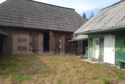 Casă cu 4 camere cu Teren 2500 Mp în Putna - 5