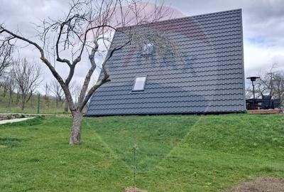 Casă cu 3 camere cu Teren 1256 Mp în Giulești - 18