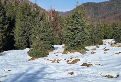 Teren de 300 mp, în Râu de Mori - 2