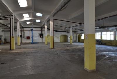 Spațiu industrial, de 2,937 mp, în Titulescu - 1