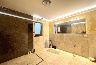 Dumbravita, Casa Individuala, Teren 700 MP - 17