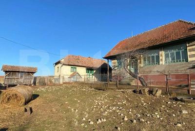 Casa veche cu 4 camere, teren 1800 mp, Henig - 5