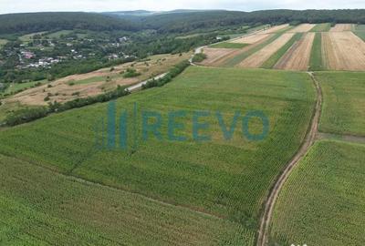 Teren de 3600 mp, în Racova - 6