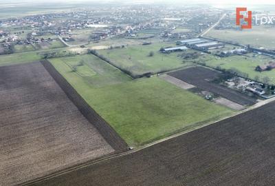 Teren Construcții intravilan de 20000 mp, în Pădureni (Jebel) - 4