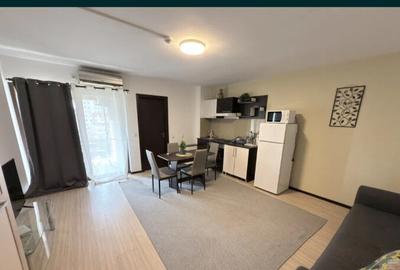 Apartament cu 2 camere semidecomandat în Podu Roș - 3
