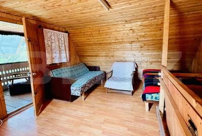 Cabana din lemn, 37 mp, Liubcova - 6