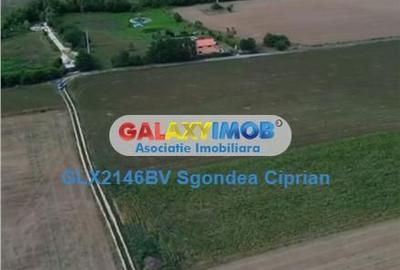 Teren de 1633 mp, în Feldioara - 5