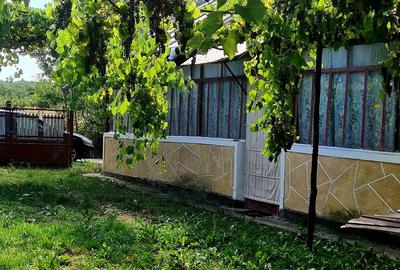 Teren cu casa in Cobia - 4