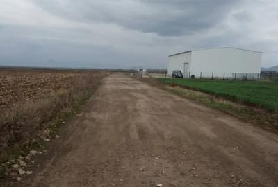 Teren de 3958 mp, în Ozun - 3