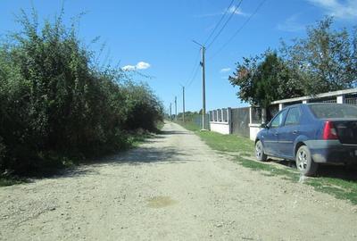 Domnesti Teghes-Padurarului - 11