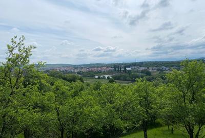 Teren Construcții intravilan de 3738 mp, în Cisnădioara - 10