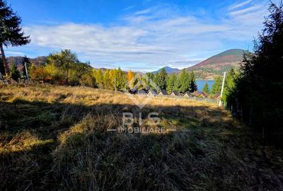 Teren de vanzare 12 ari - COLIBITA - 7