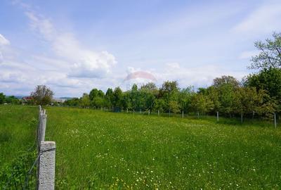 Teren Construcții intravilan de 2486 mp, în Sud - 7