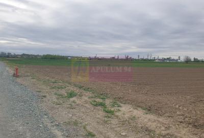 Teren în Măgurele - 7