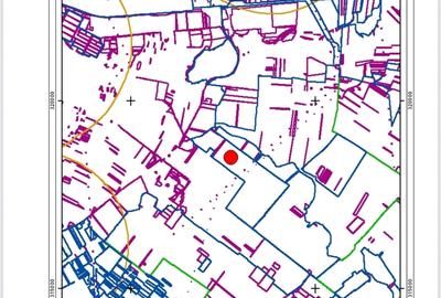 Teren în Popești-Leordeni