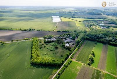 Cladire industriala de vanzare cu potential 3,5 ha in Batania - 12