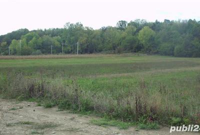 Teren de 1600 mp, în Bolotești - 1