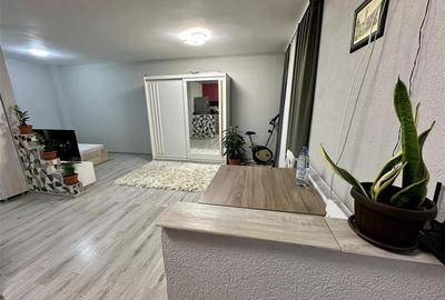 FILM&3D! Elegant,mobilat,accesorizat,totul nou,gata de mutat/inchiriat, Unirii,T - 1