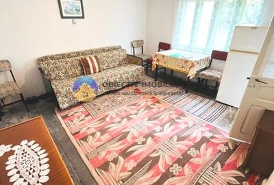 CASĂ + Teren 4616 mp RĂUCEȘTI, langa TARGU NEAMȚ - 4