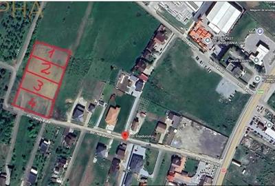 Teren de 6350 mp, în Viișoara - 3