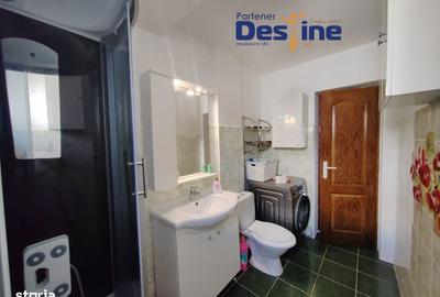 Garsonieră, mobilată în Bucium - 5