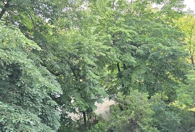Apartament cu 3 camere semidecomandat în Gorjului - 3
