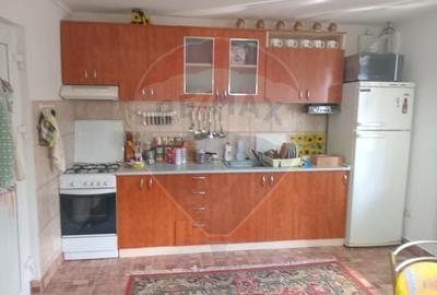 OCAZIE!!! CASA SUPERBA cu teren in JULITA jud Arad in M tii Zarandului - 22