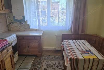 Vand garsoniera cu 2 camere in Deva, zona Gojdu (str. Viitorului), etaj 3, mobilat - 1