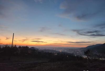 Teren de 10000 mp, în Ferneziu - 3