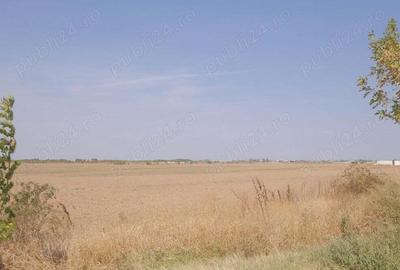 Teren de 57000 mp, în Central - 6