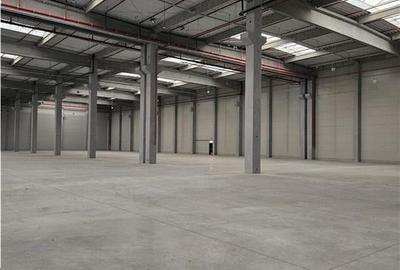 Spatii Industriale - 5000 mp - Logistica - Productie - Depozitare - 11