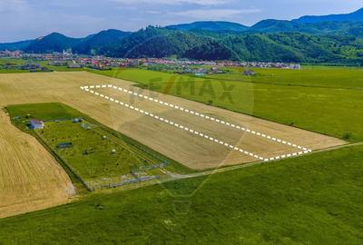 Teren agricol extravilan de 12300 mp, în Glăjărie - 5