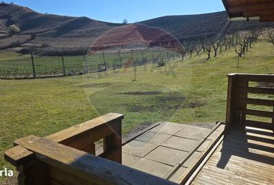 Teren de 2900 mp, în Blăjel