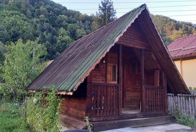 Teren de 725 mp, în Păscoaia - 6