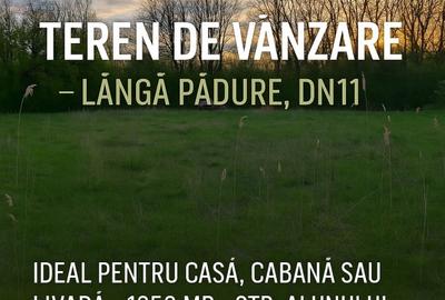 Teren ideal pentru casa de vacanta sau locuinta permanenta, la marginea padurii - 2