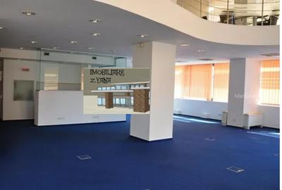 Birou, 290 mp în Cișmigiu - 5