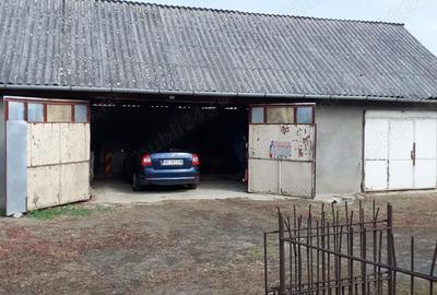 Casă cu 6 camere cu Teren 3000 Mp în Almaș - 2