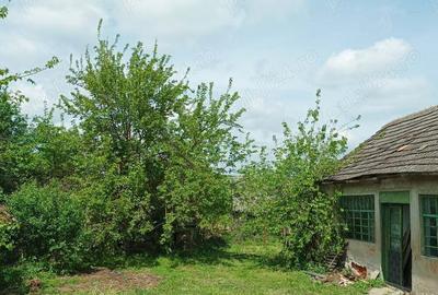 Vind casa cu gradina Vind casa cu gradina - 3